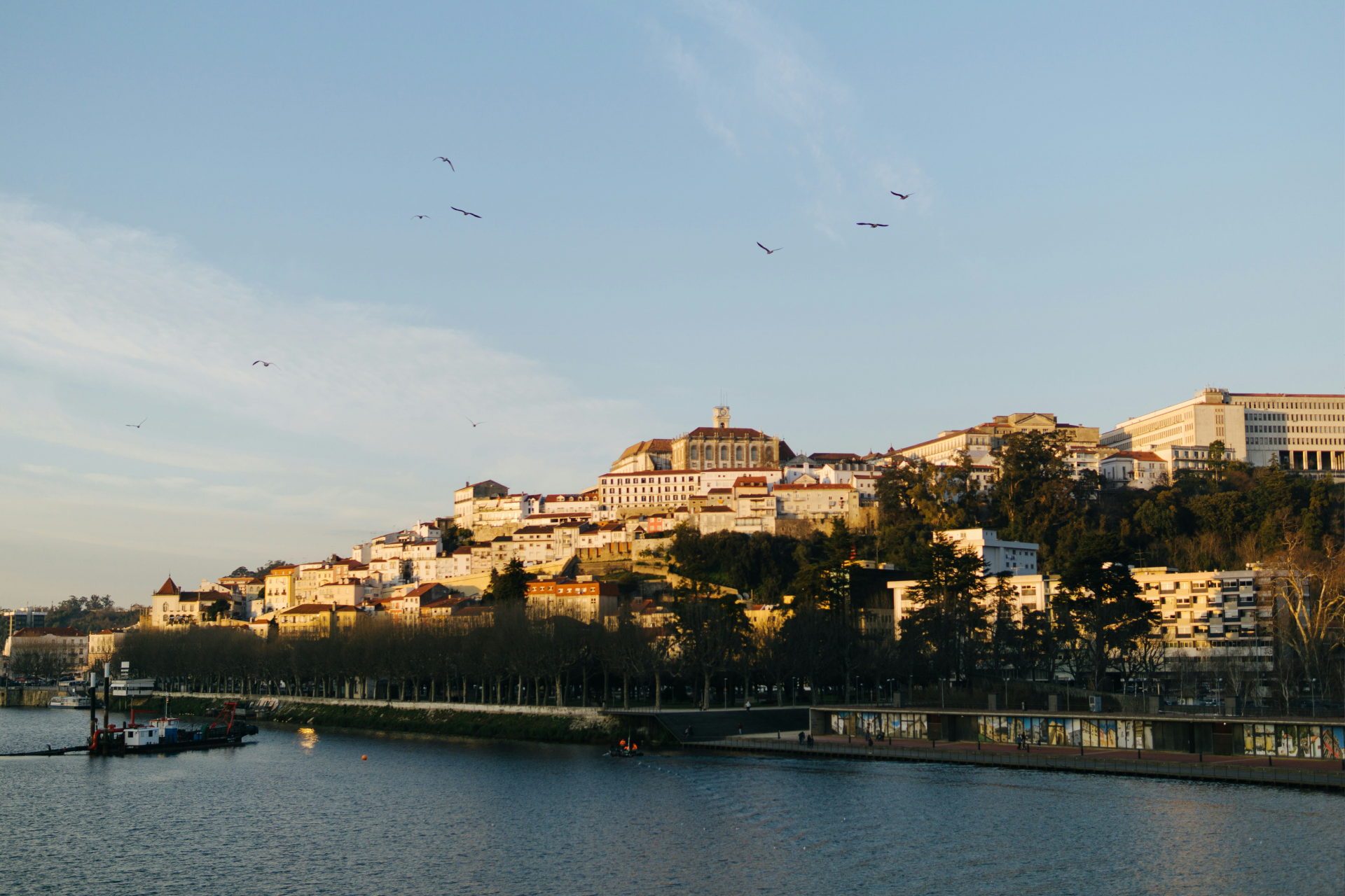 Coimbra Private Tours