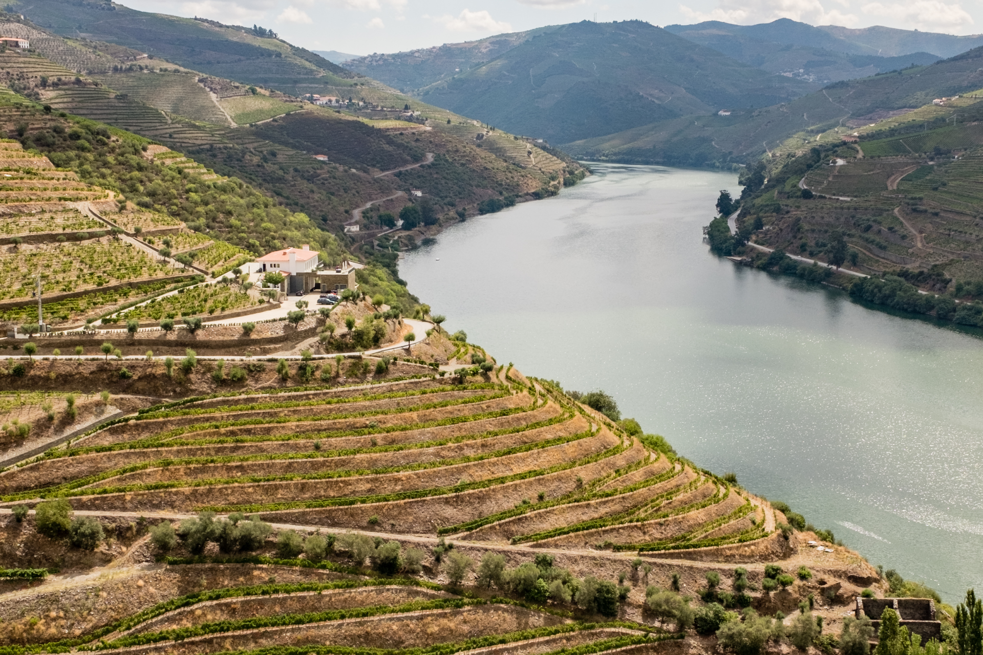 Douro Epicurean Tours ​