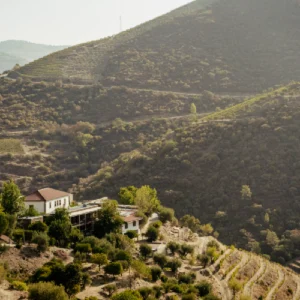 Quinta de Napóles